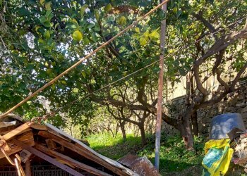 Semi-detached house Via Peiranze, 446
Sanremo, Sanremo - photo 48
