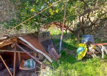 Semi-detached house Via Peiranze, 446
Sanremo, Sanremo - photo 49