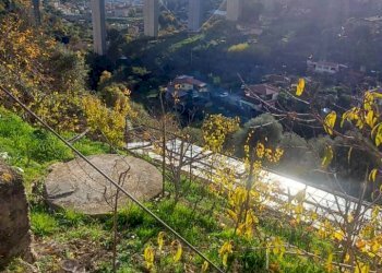 Semi-detached house Via Peiranze, 446
Sanremo, Sanremo - photo 84