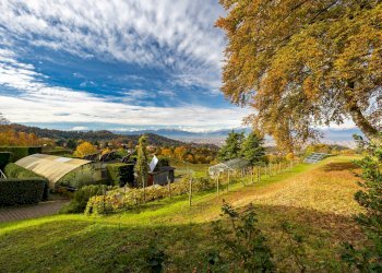 Villa Strada Comunale Di Pecetto, Torino - foto 20