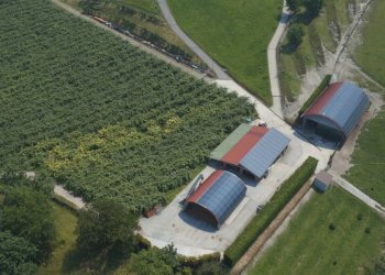 Villa Strada Comunale Di Pecetto, Torino - foto 27