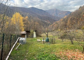 GIARDINO PIANEGGIANTE - Casa semi indipendente Borgata Rio Agrevo, 4, Perosa Argentina - foto 46