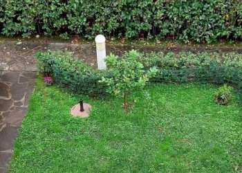 ma14.jpg - Terratetto - Terracielo Massa - foto 14