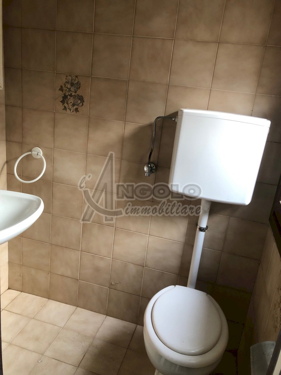 servizio wc - Appartamento Fiesso Umbertiano - foto 3