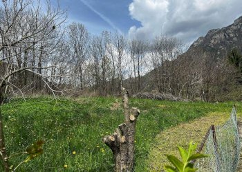 Casa semi indipendente Borgata Selvaggio, 33, Perosa Argentina - foto 64