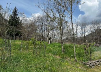 Casa semi indipendente Borgata Selvaggio, 33, Perosa Argentina - foto 65