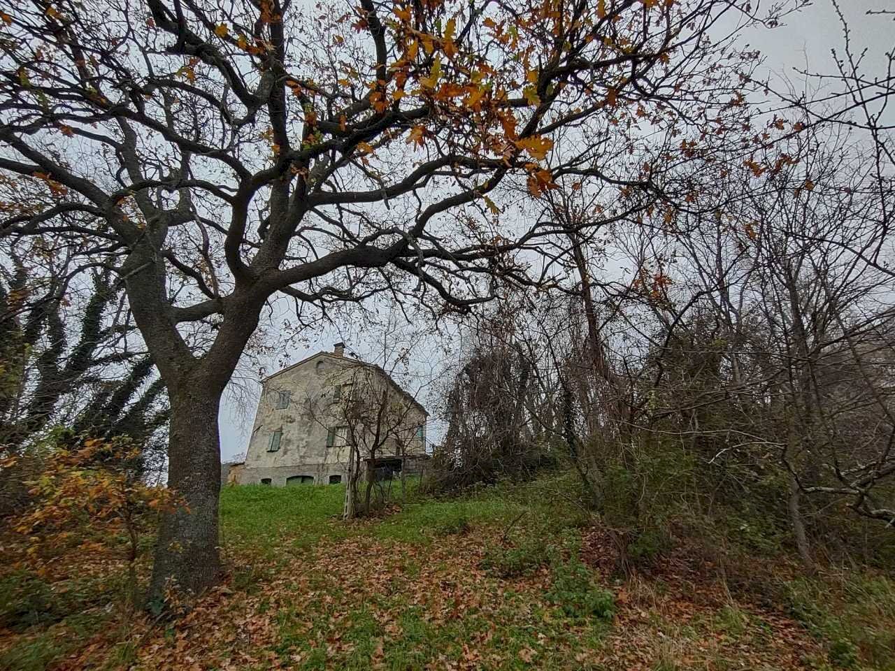 9a5b0c29-ea65-47cb-82bf-8bd9137280c0.jpg - Casa indipendente Coste del molino snc, Poggio San Marcello - foto 2