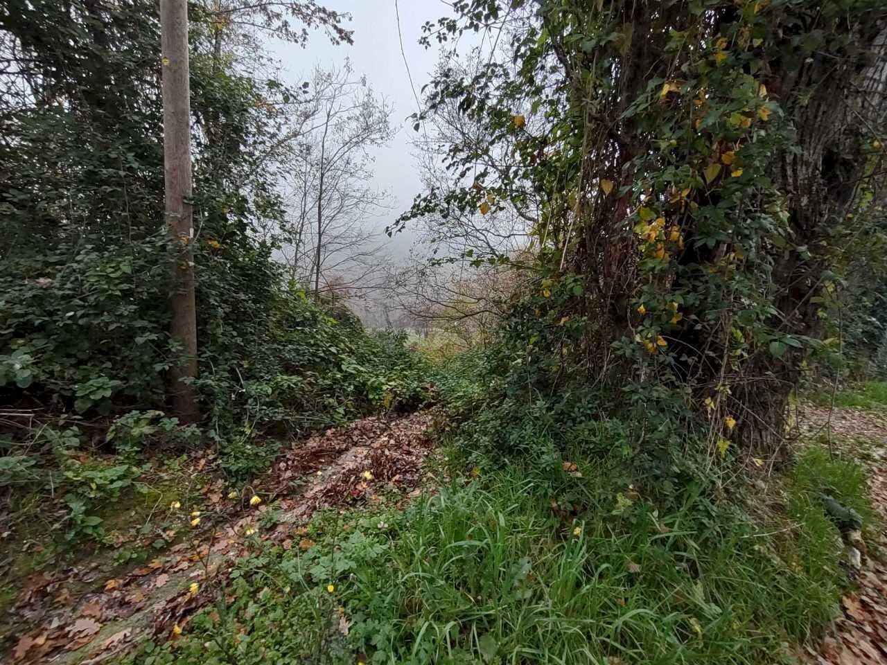 0c46d9ce-7cc0-459a-9fed-aa6852d0df2e.jpg - Casa indipendente Coste del molino snc, Poggio San Marcello - foto 3