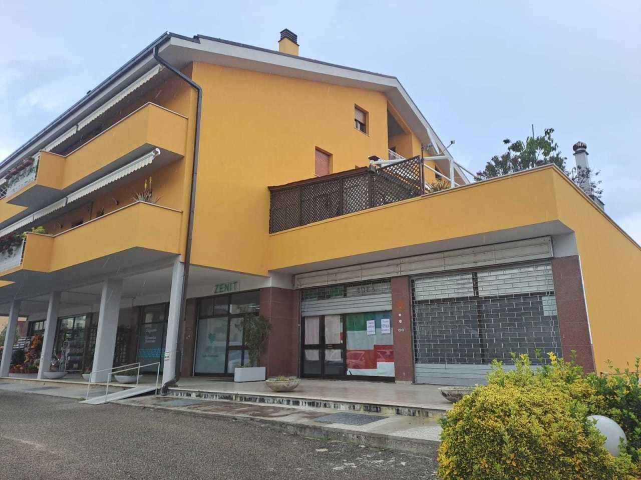 WhatsApp Image 2024-05-22 at 11.51.17 (1).jpeg - Locale Commerciale Amelia - foto 1