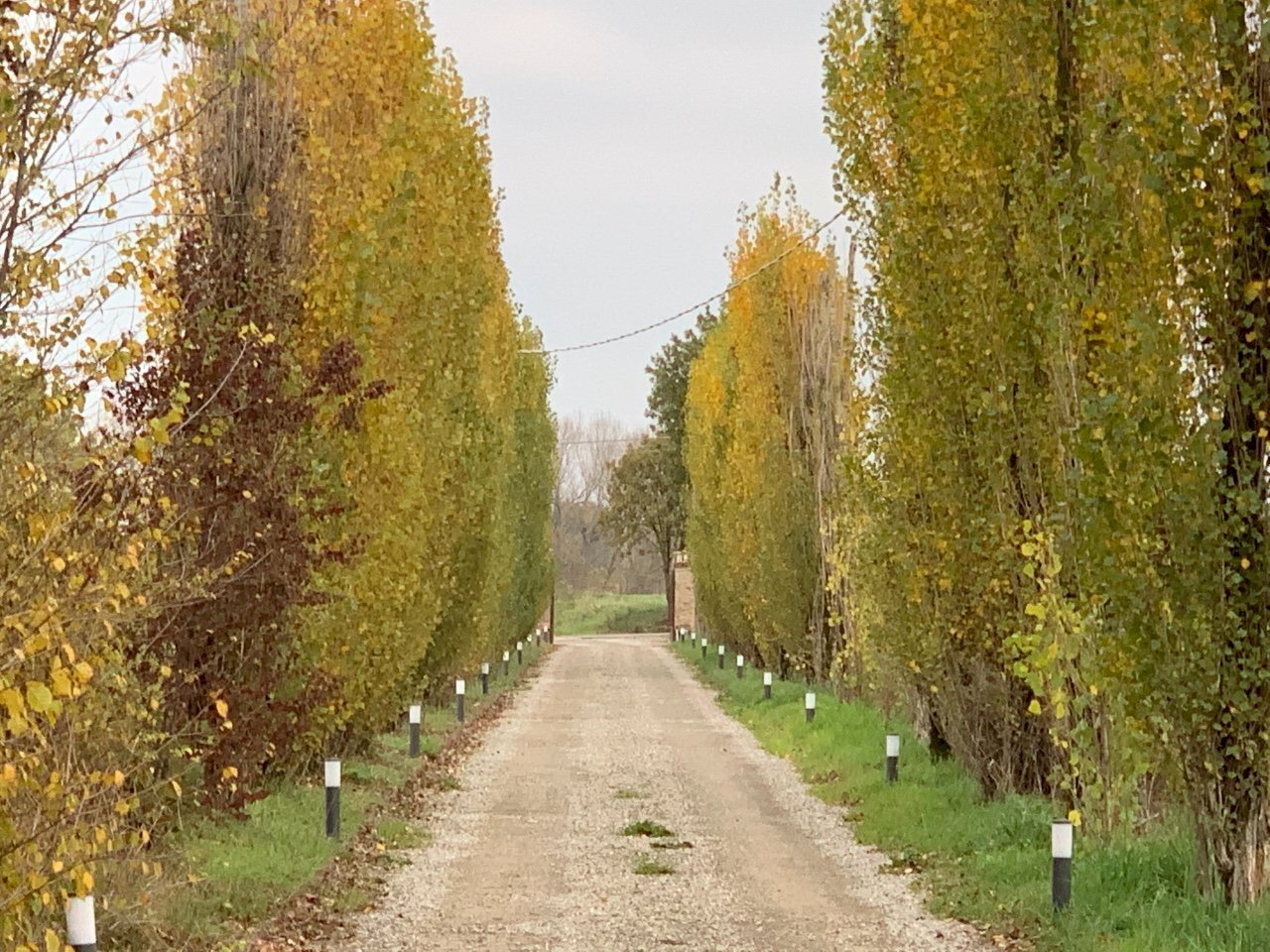 Porzione di casa Reggio nell'Emilia - foto 2