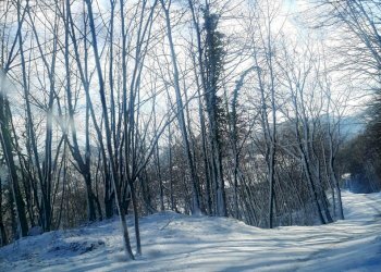 Porzione di casa Firenzuola - foto 13