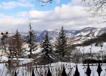 Porzione di casa Firenzuola - foto 14