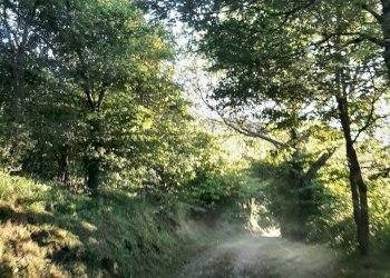 Porzione di casa Firenzuola - foto 16