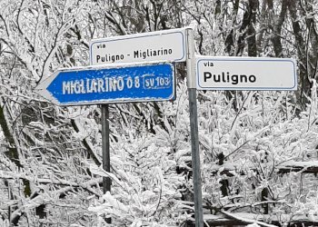 Porzione di casa Firenzuola - foto 17