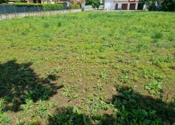 Terreno edificabile via Cosella, Pojana Maggiore - foto 2