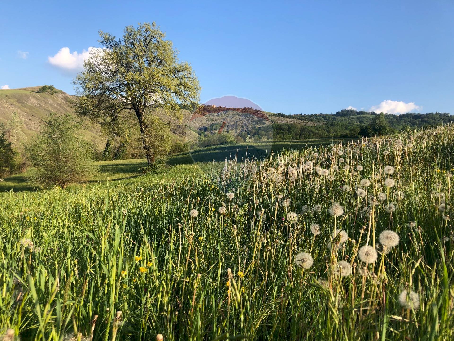 Rustic Via cà Buffagni, 0 
 Baiso, Baiso - photo 1