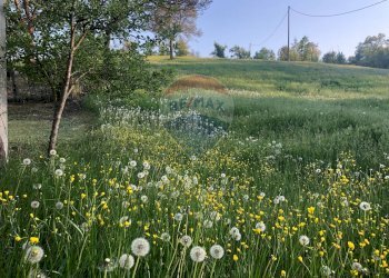 Rustic Via cà Buffagni, 0 
 Baiso, Baiso - photo 31