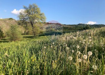 Rustic Via cà Buffagni, 0 
 Baiso, Baiso - photo 1