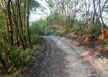 Rustic Via cà Buffagni, 0 
 Baiso, Baiso - photo 32