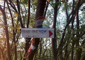 Rustic Via cà Buffagni, 0 
 Baiso, Baiso - photo 33