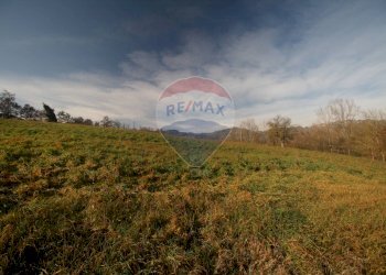 Rustic Via cà Buffagni, 0 
 Baiso, Baiso - photo 34