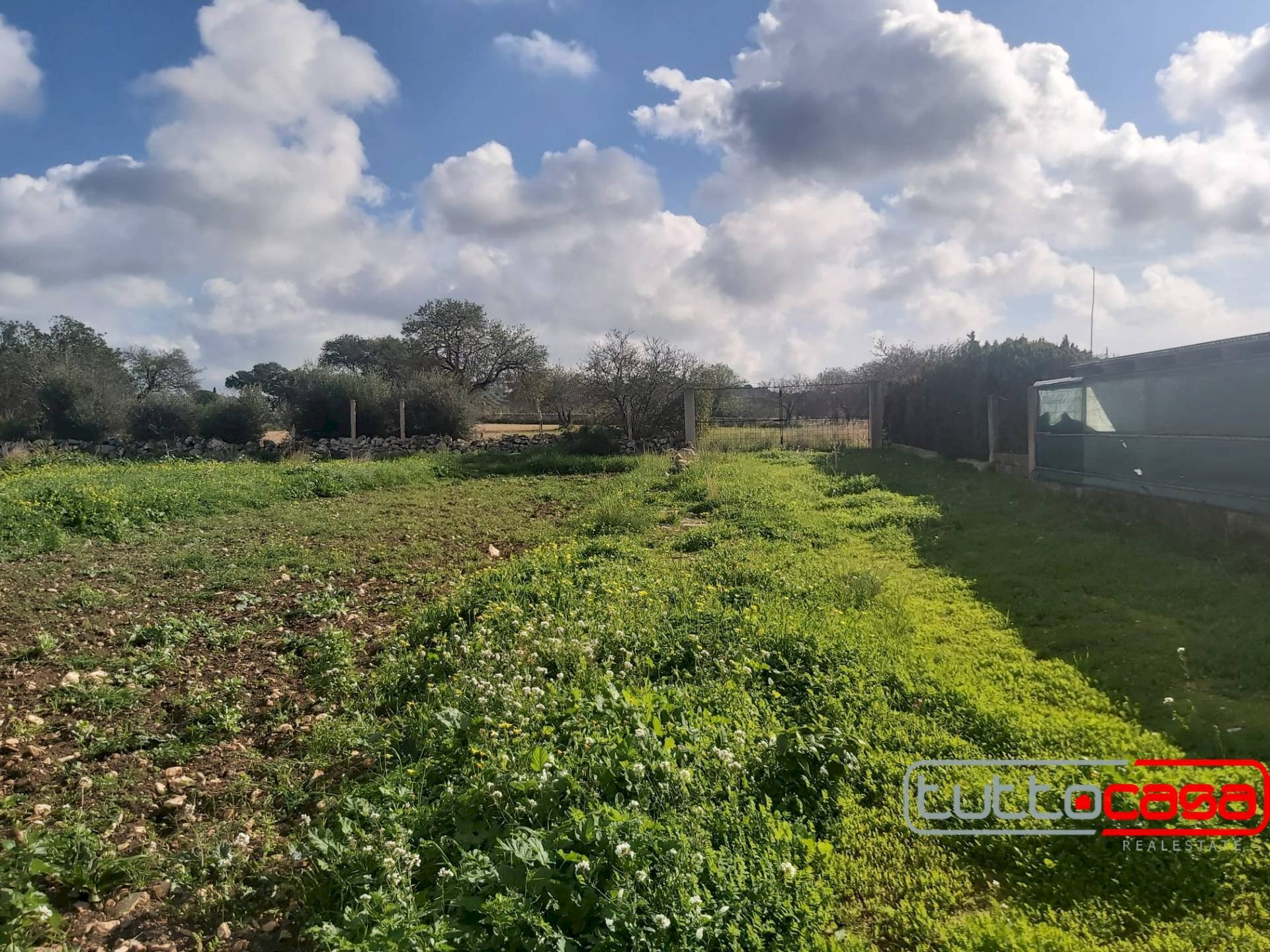 Terreno agricolo CONTRADA COLAVECCHIO, Scicli - foto 3