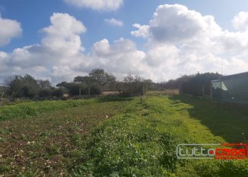 Agricultural land CONTRADA COLAVECCHIO, Scicli - photo 1