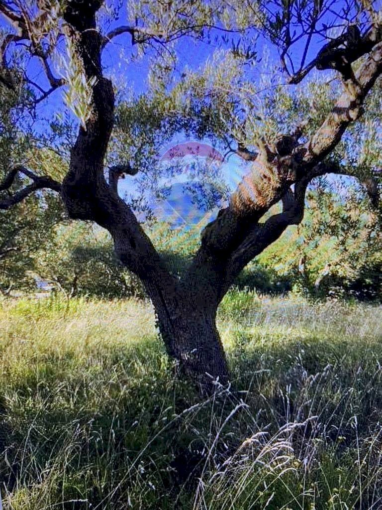 Terreno residenziale Recanati, MC, Recanati - foto 2