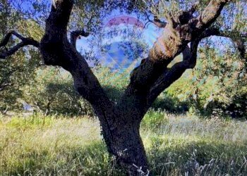 Terreno residenziale Recanati, MC, Recanati - foto 2