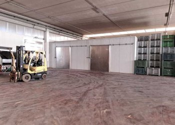 3.jpeg - Shed Decimoputzu - photo 3