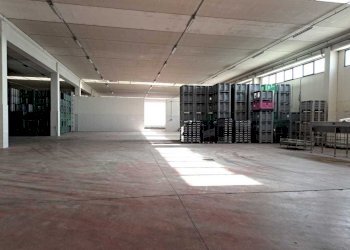 5.jpeg - Shed Decimoputzu - photo 5