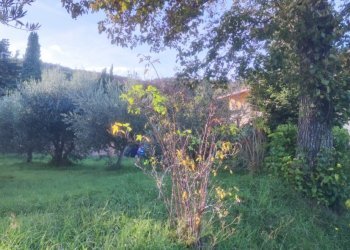 1669042073834.jpg - Casa indipendente Apiro - foto 2