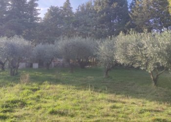 1669042073965.jpg - Casa indipendente Apiro - foto 11