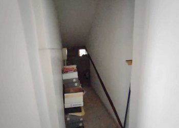 e865ada6-1bdc-4f8b-9cb4-5f20e76519db.jpg - Magazzino Viale del lavoro 9, Jesi - foto 4