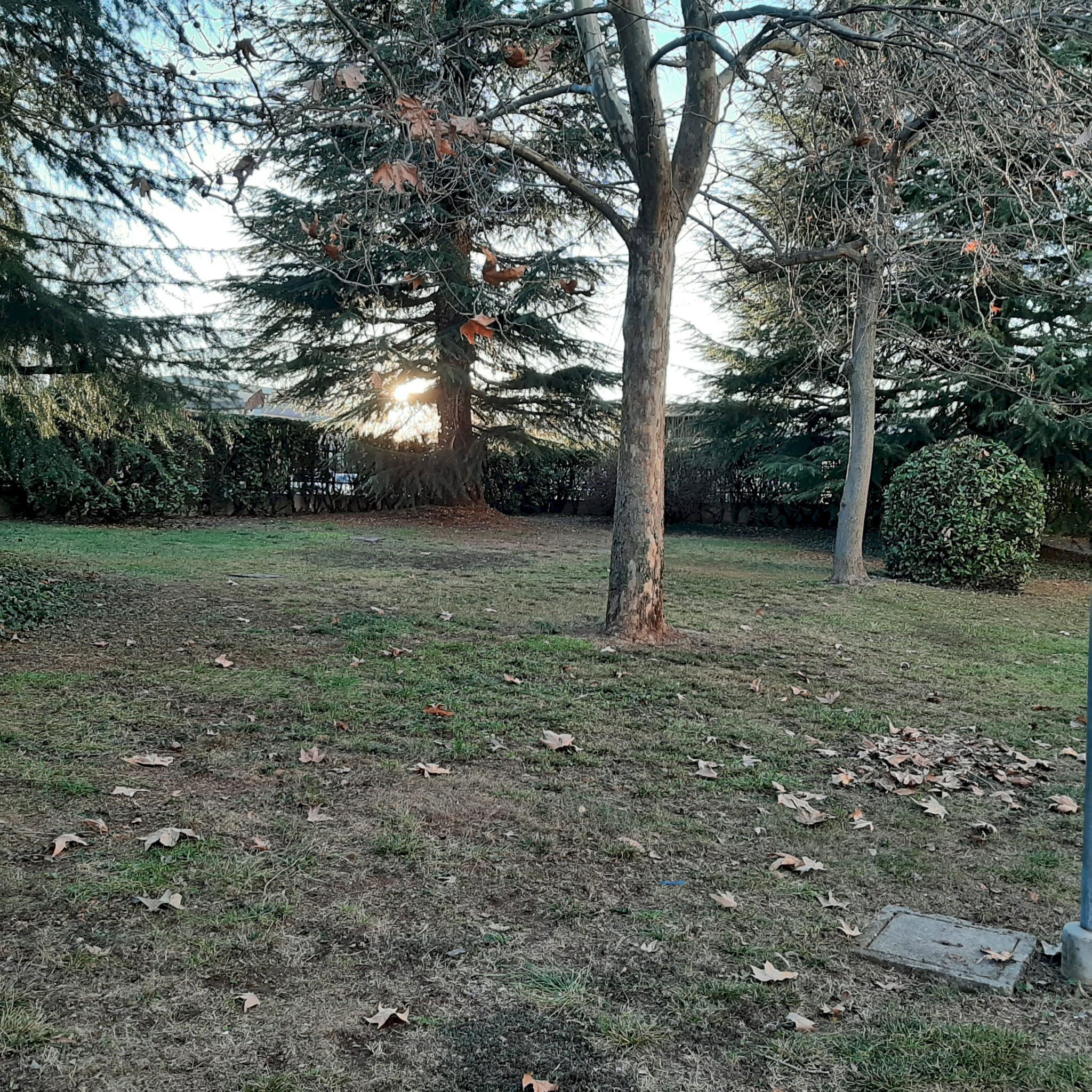 Appartamento Cuneo (zona San Paolo) - foto 3