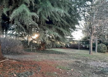 Appartamento Cuneo (zona San Paolo) - foto 4