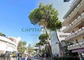 Attività Commerciale Comacchio - foto 3