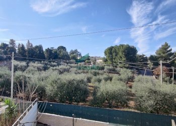 vista - Casale Contrada San Nicola 111a, Monopoli - foto 20