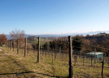 P1014796.JPG - Villa Via Maiolata 54, Porano - foto 12