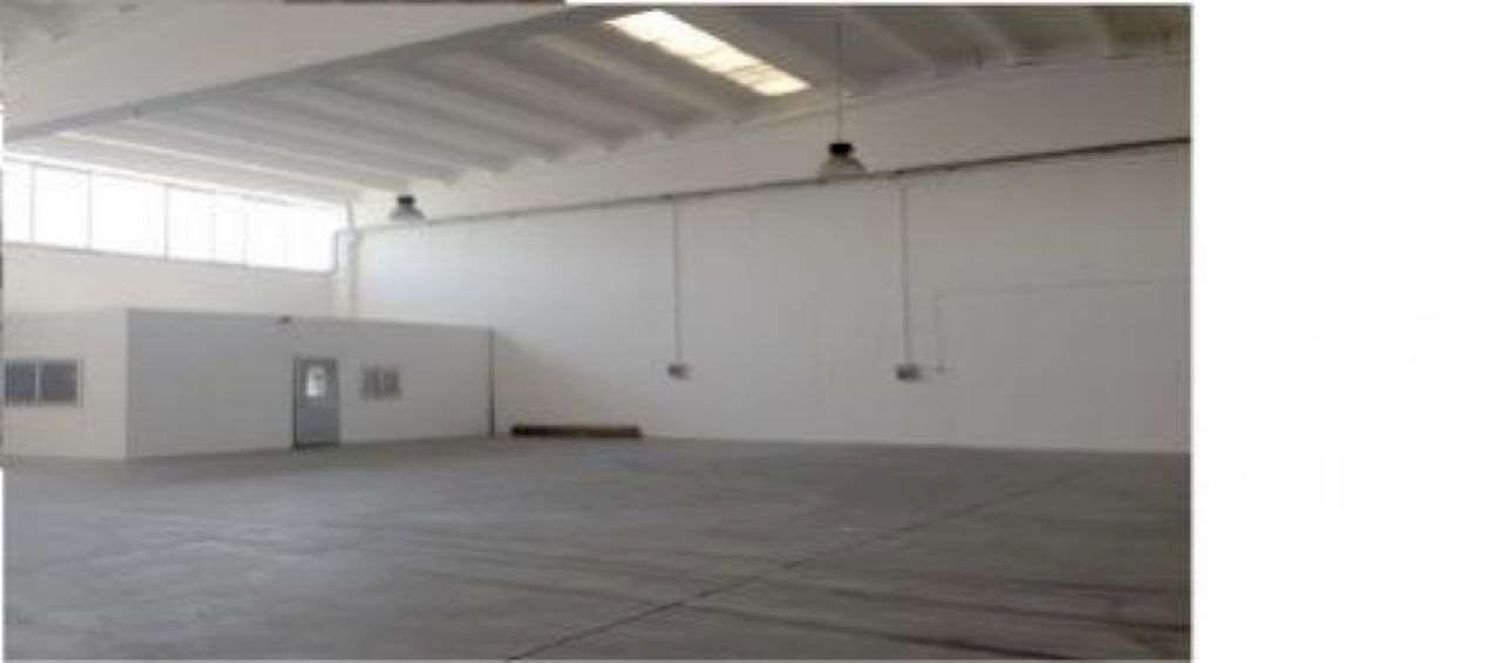 Capannone Sassuolo - foto 2