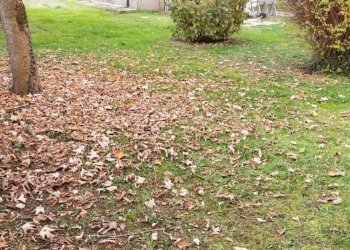 Casa indipendente Sassuolo - foto 1