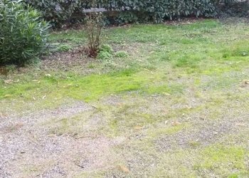 Casa indipendente Sassuolo - foto 2