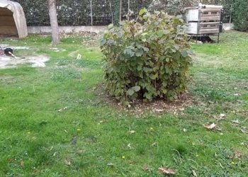 Casa indipendente Sassuolo - foto 6