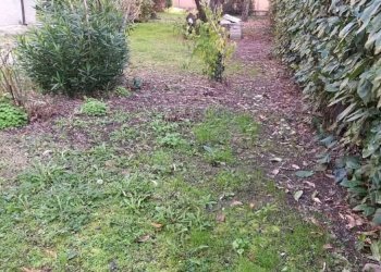 Casa indipendente Sassuolo - foto 3