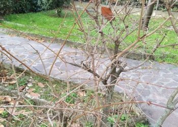 Casa indipendente Sassuolo - foto 4