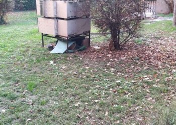 Casa indipendente Sassuolo - foto 9