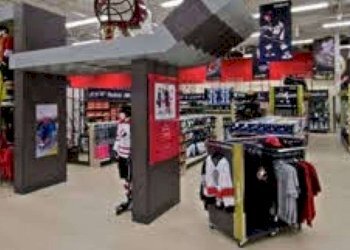 Locale Commerciale Sassuolo - foto 3