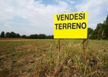 Terreno edificabile Castellarano - foto 1