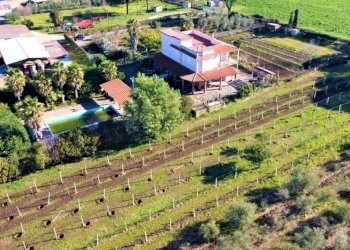 Villa Quadrifamiliare Sessa Aurunca - foto 3