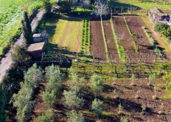 Villa Quadrifamiliare Sessa Aurunca - foto 5